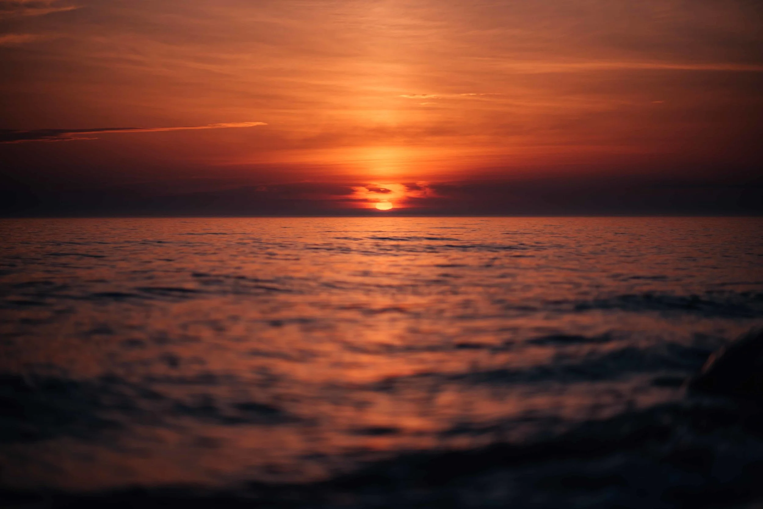 DSC_1485.jpg