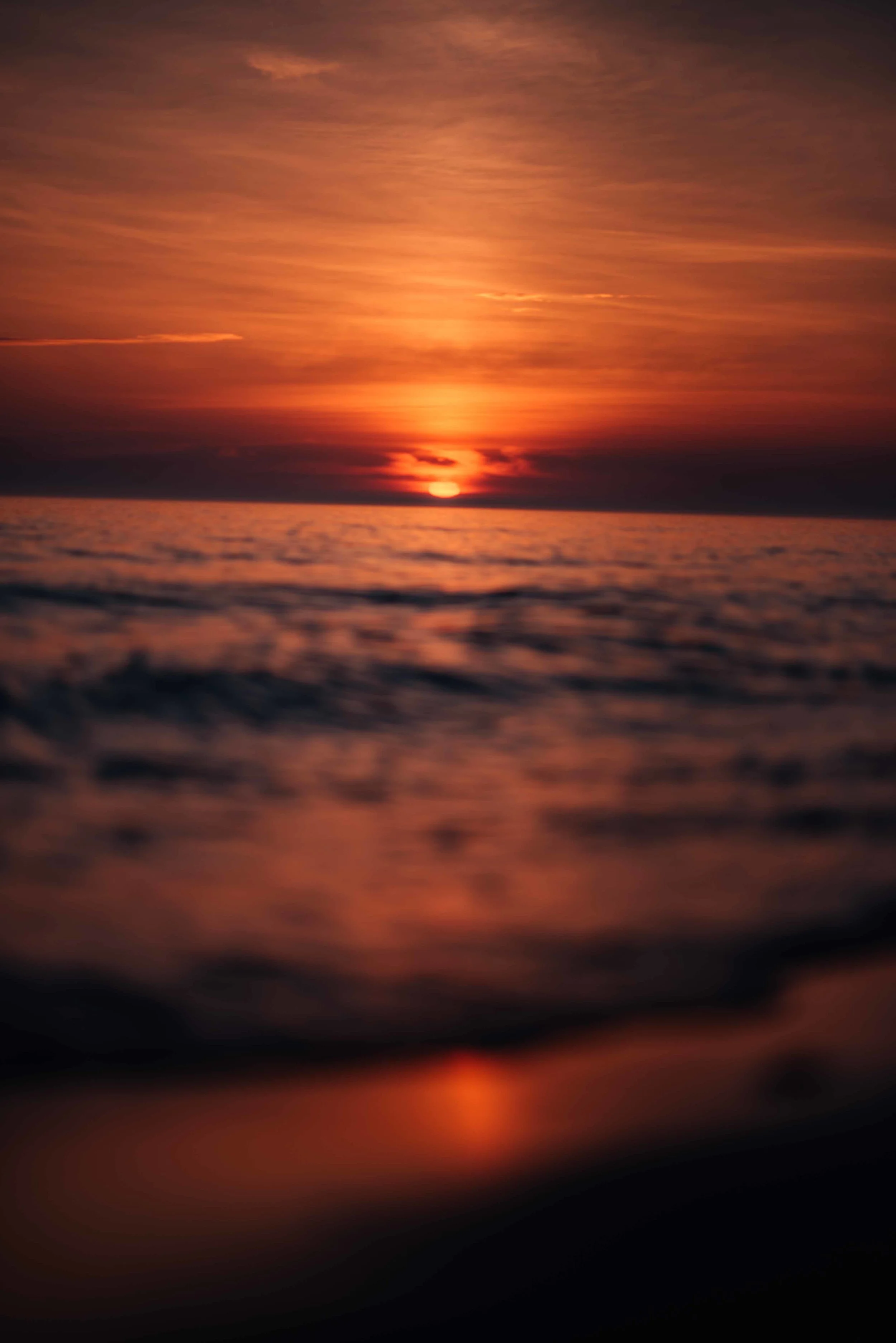 DSC_1487.jpg