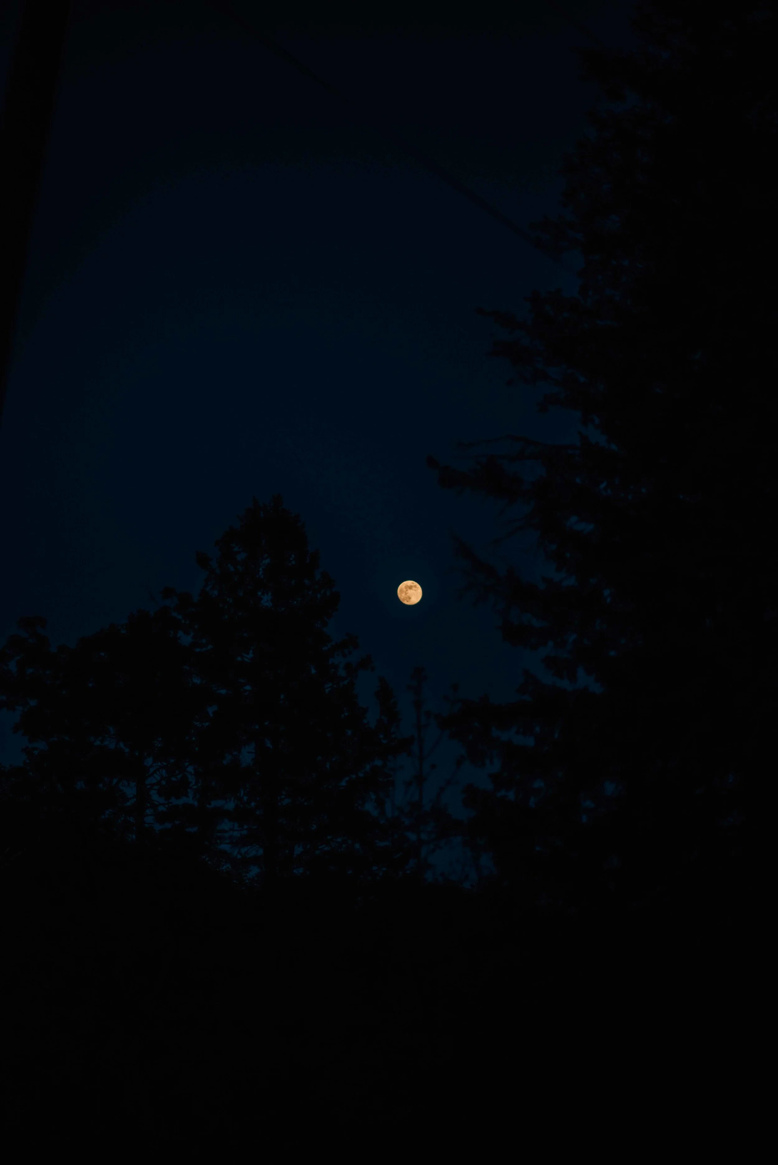 DSC_1641.jpg