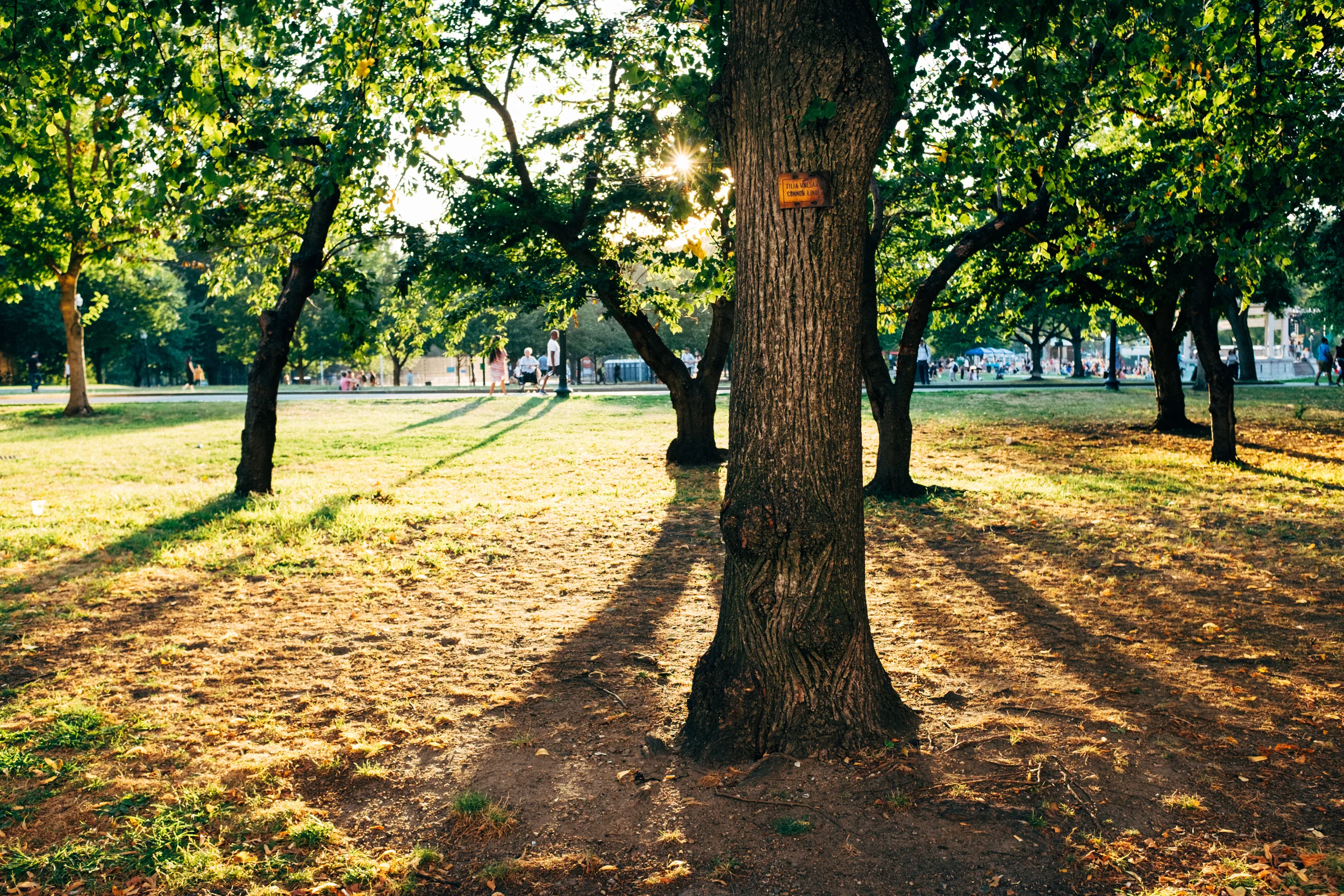 Golden hour never looked so fake.