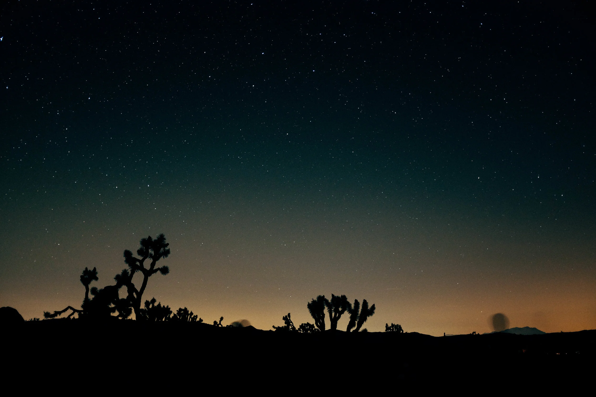 The stars were absolutely insane, and was probably the most unreal star scenes I've seen in the continental US. 
