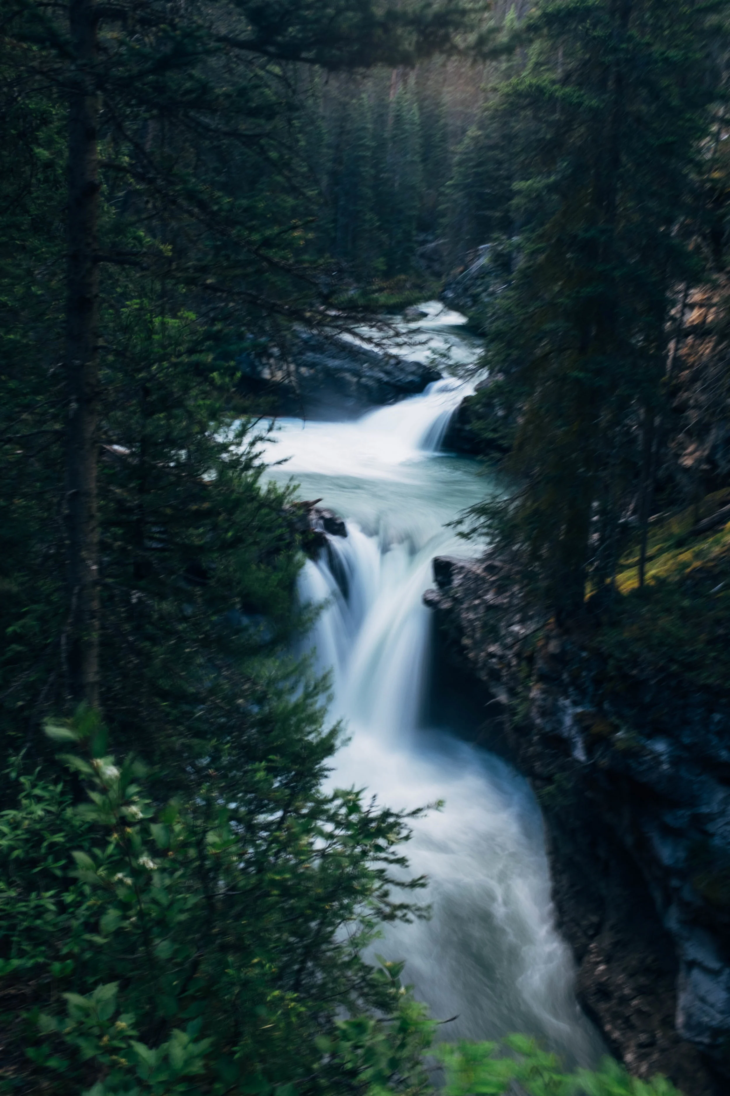 Johnston Canyon