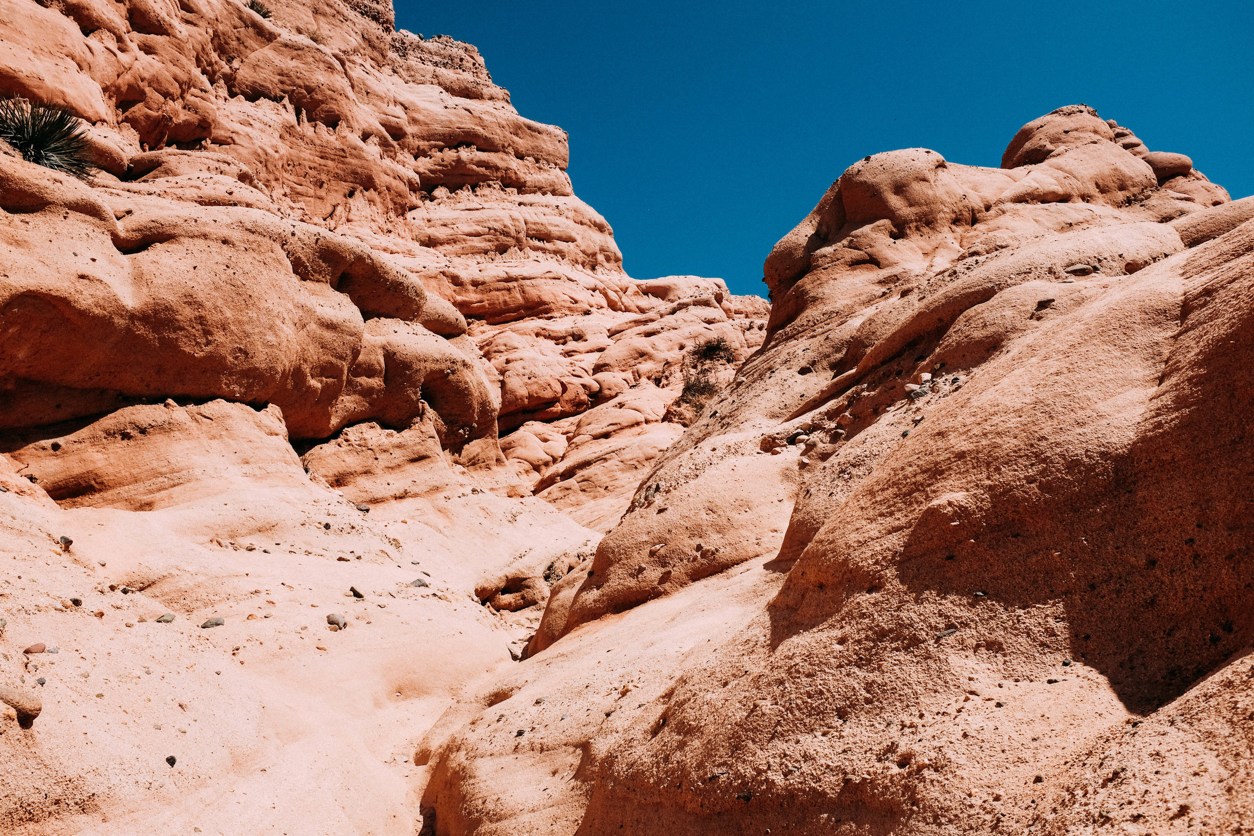 Snap from a short hike to Red Rock Canyon in Lake Forest, CA this week.