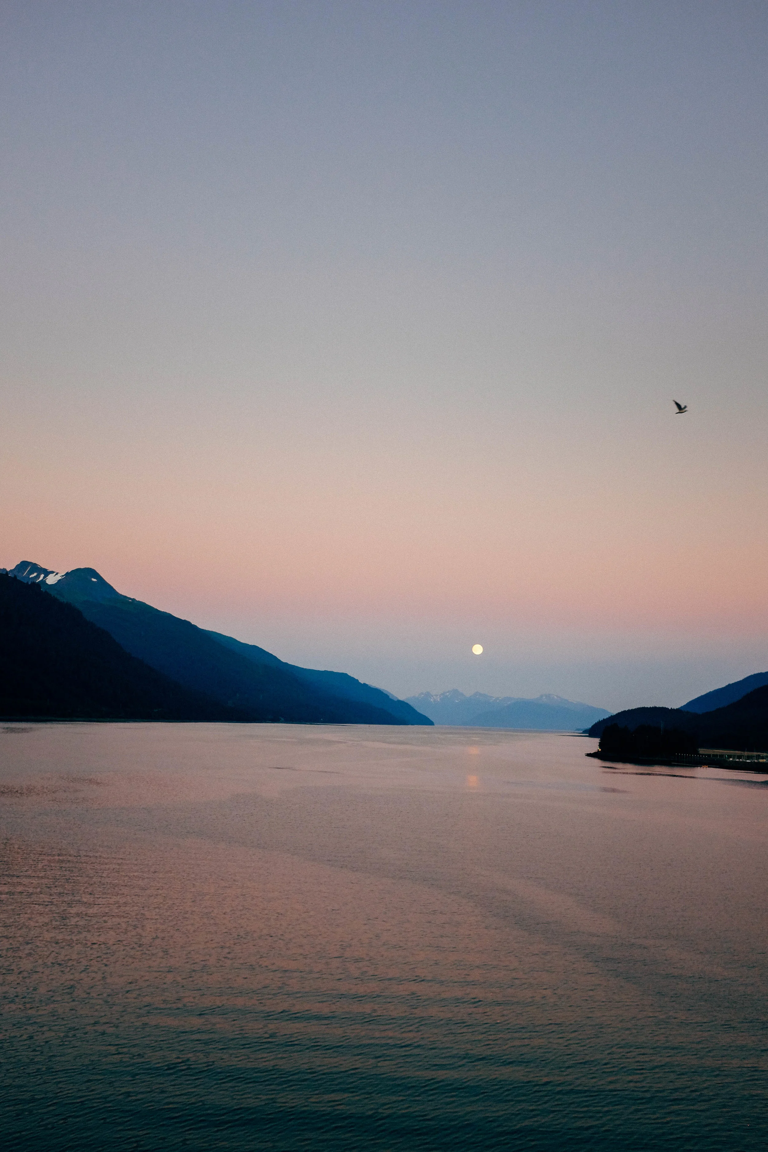 alaska-206.jpg