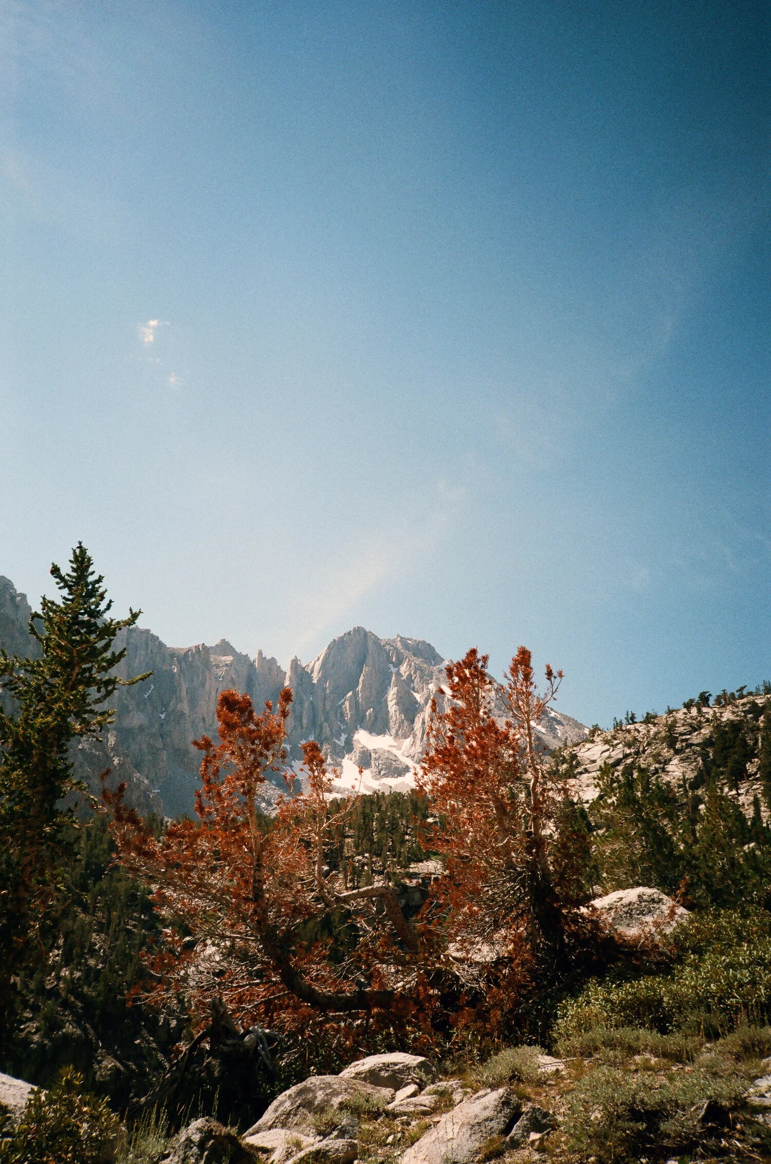  Inyo National Forest, California - 2018 