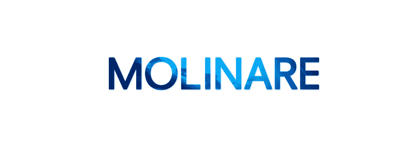 Molinarelogo4.png
