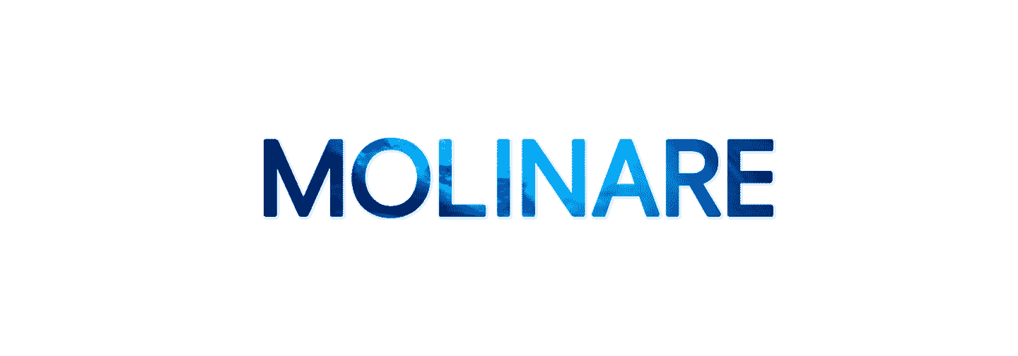 Molinarelogo4.png