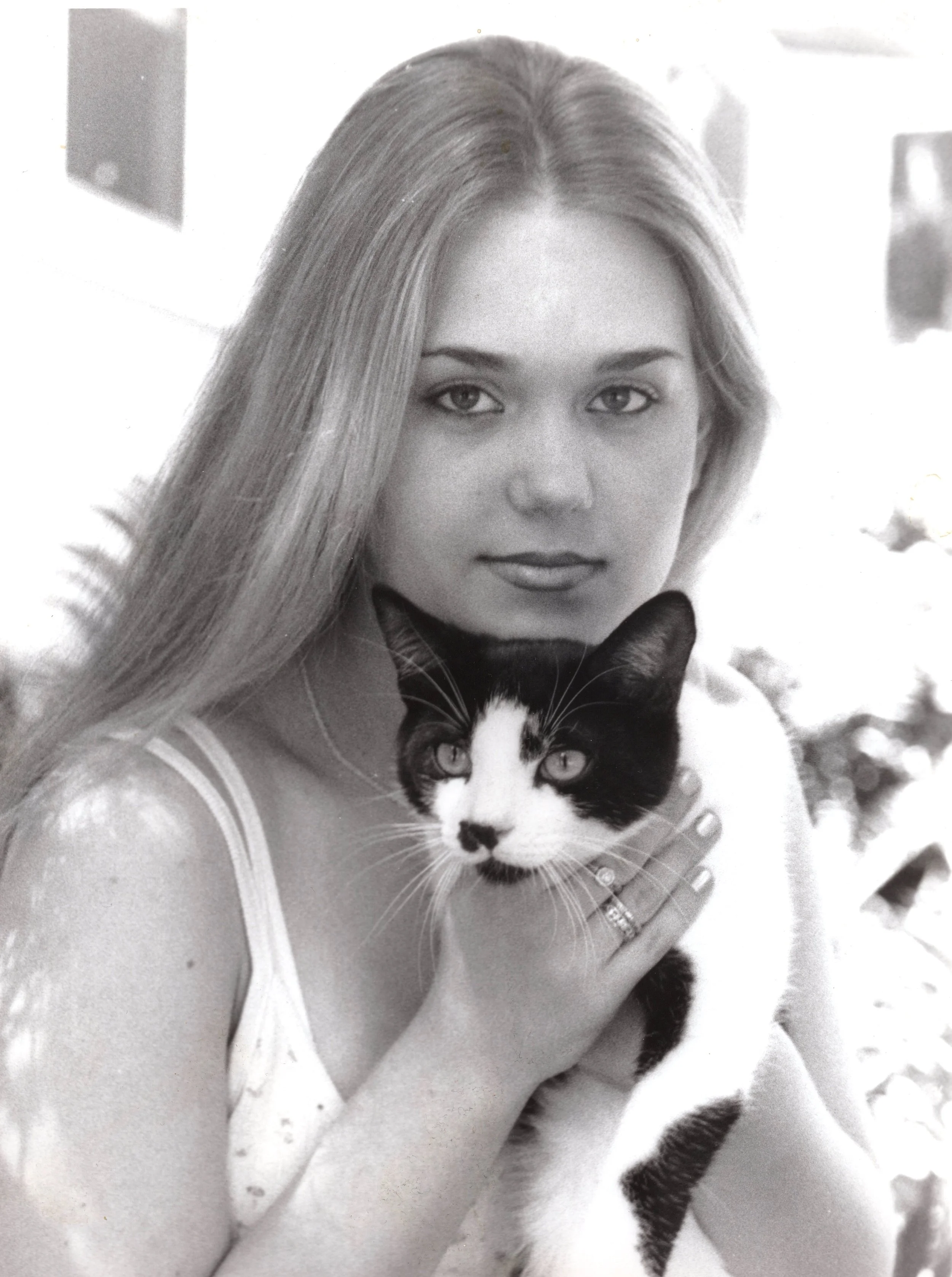 Bridgette:cat.jpg