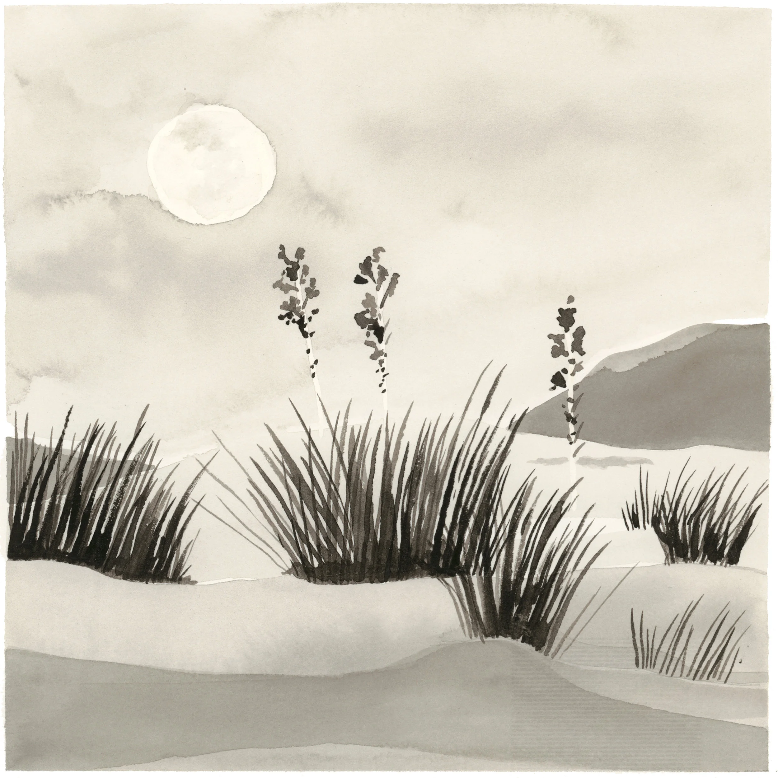 kellycolchin-summer-moon.jpg