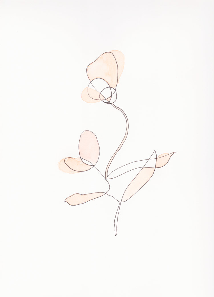 Dead-Flowers-No.4Web.jpg
