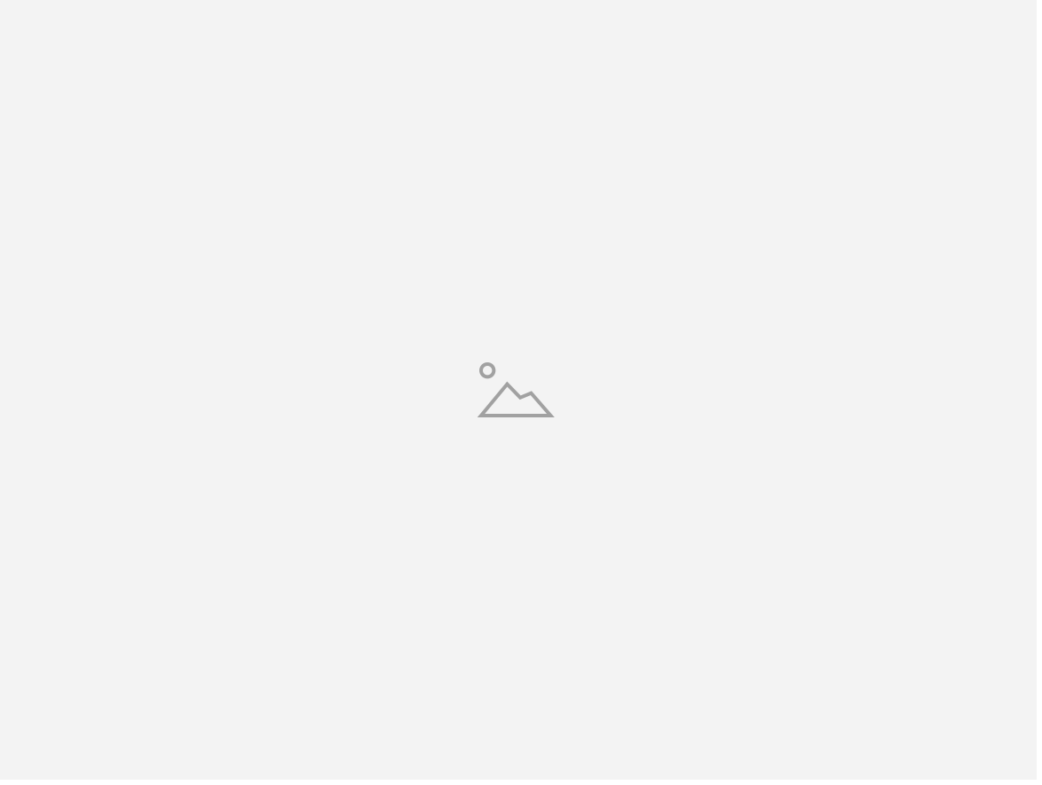 Screen Shot 2019-04-29 at 1.20.49 PM.png