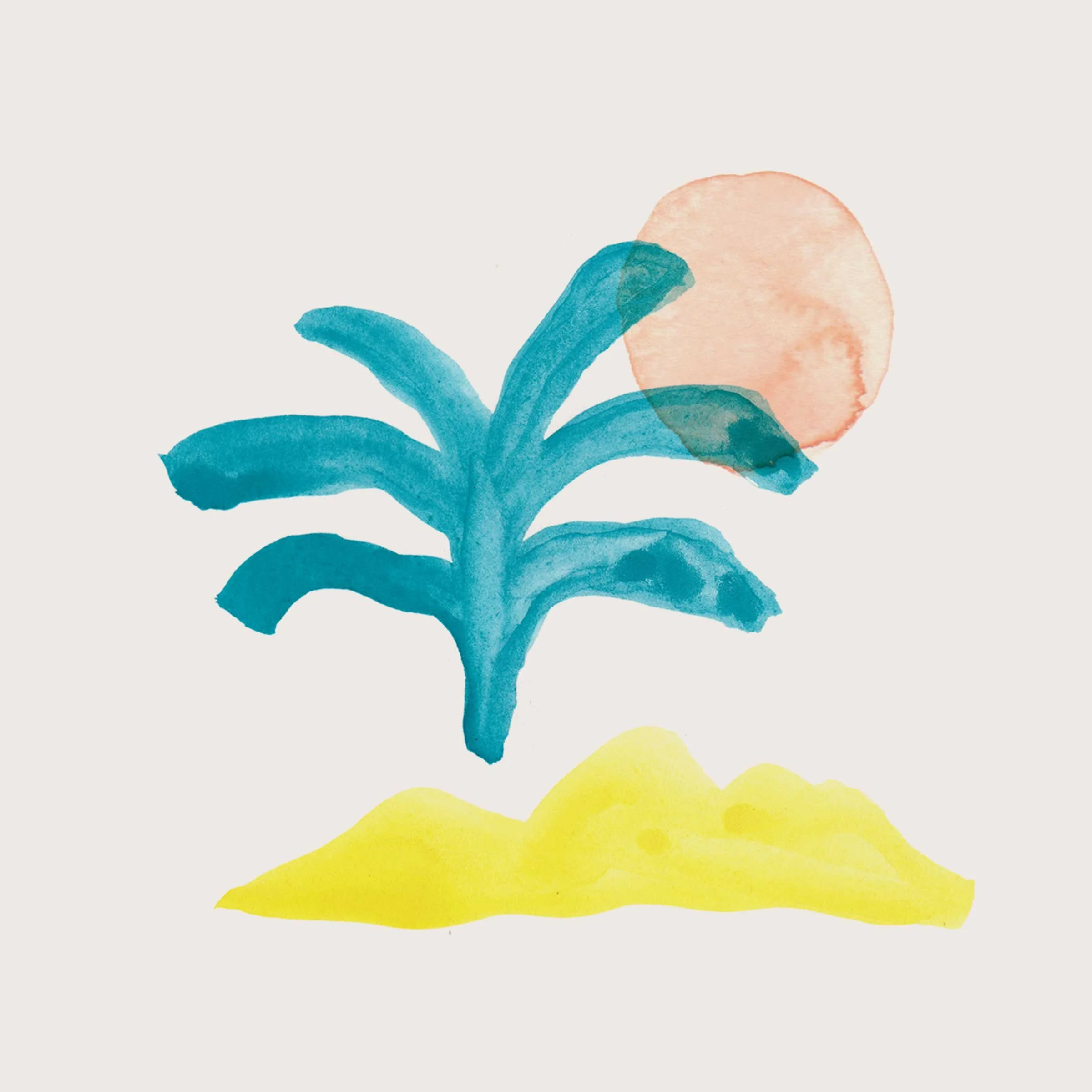 Kelly-Colchin-vacation.jpg