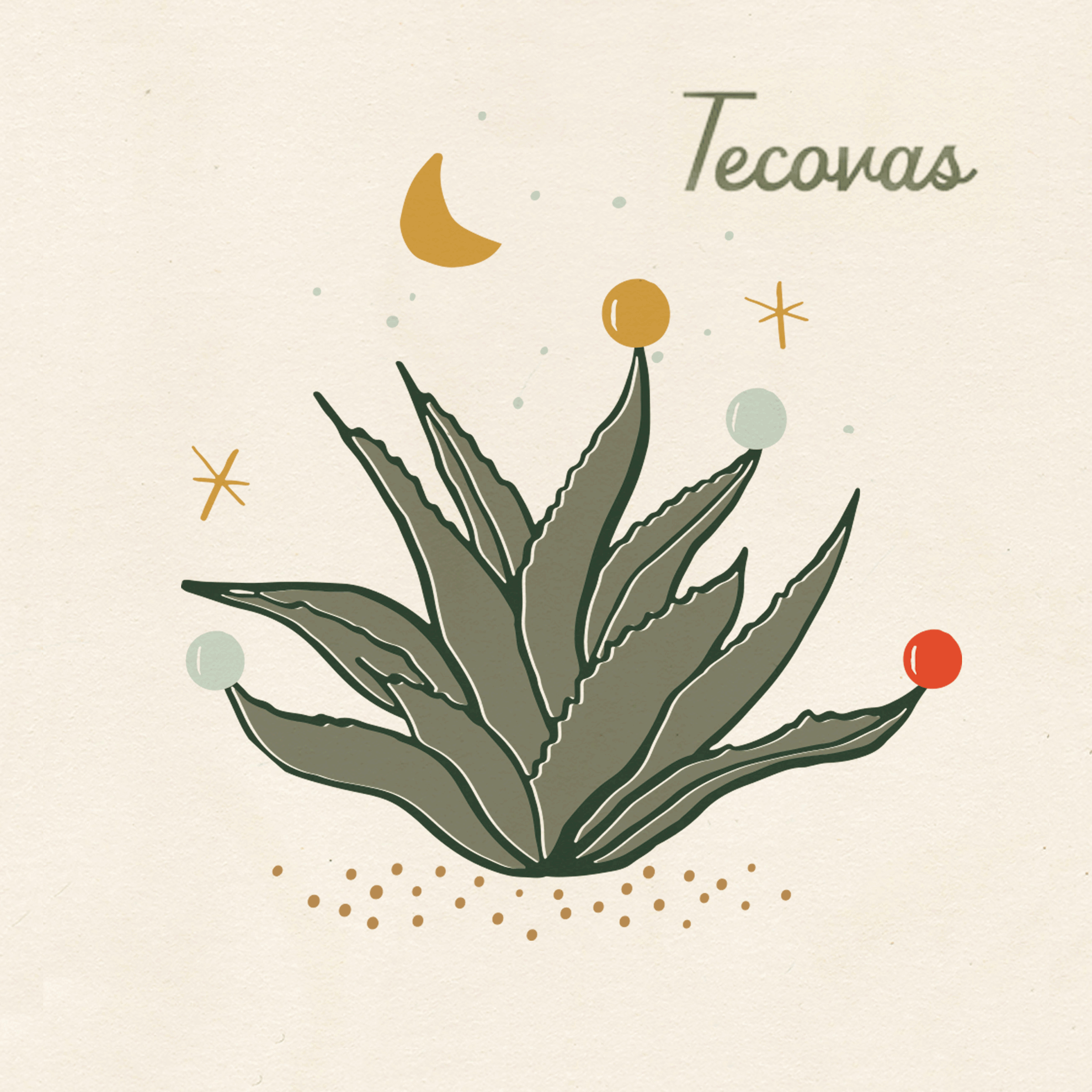 kellycolchin_tecovas_agave.gif