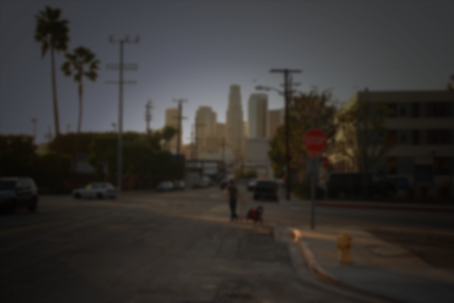 INPURSUIT_STORY_BLANK.png