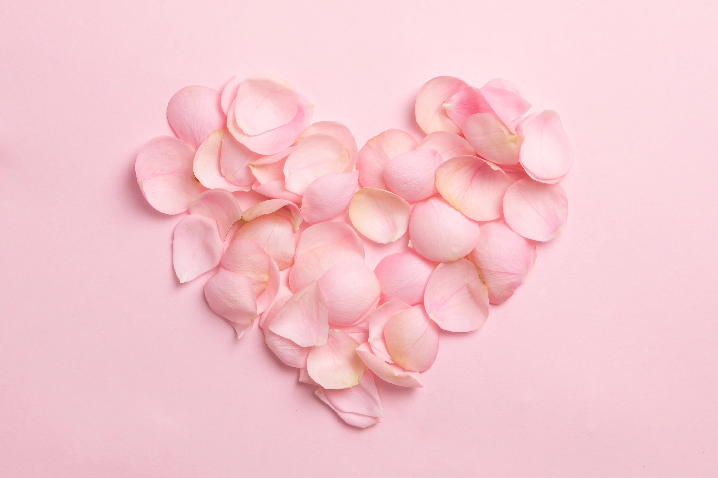 Valentine's Day Rose Milks
