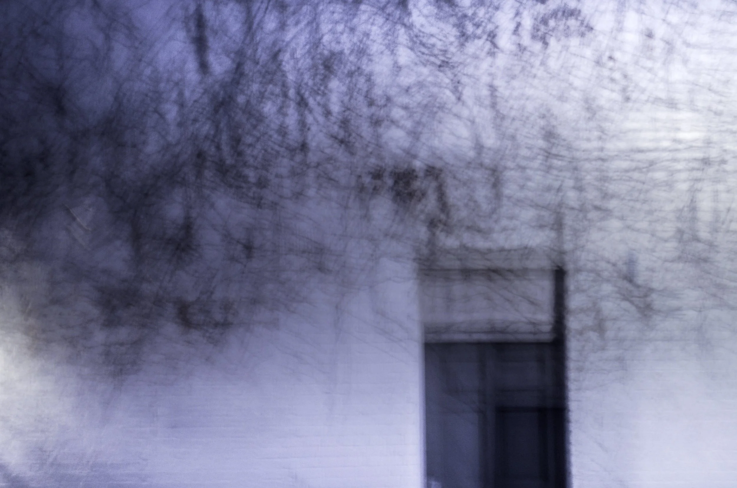 Night BlurredTreesAlexandria_0085_53-Edit.jpg