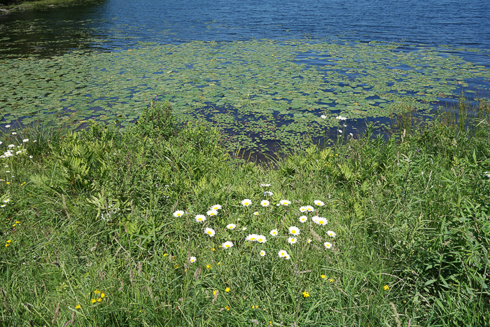 Grafton Lakes State Park, Grafton, NY