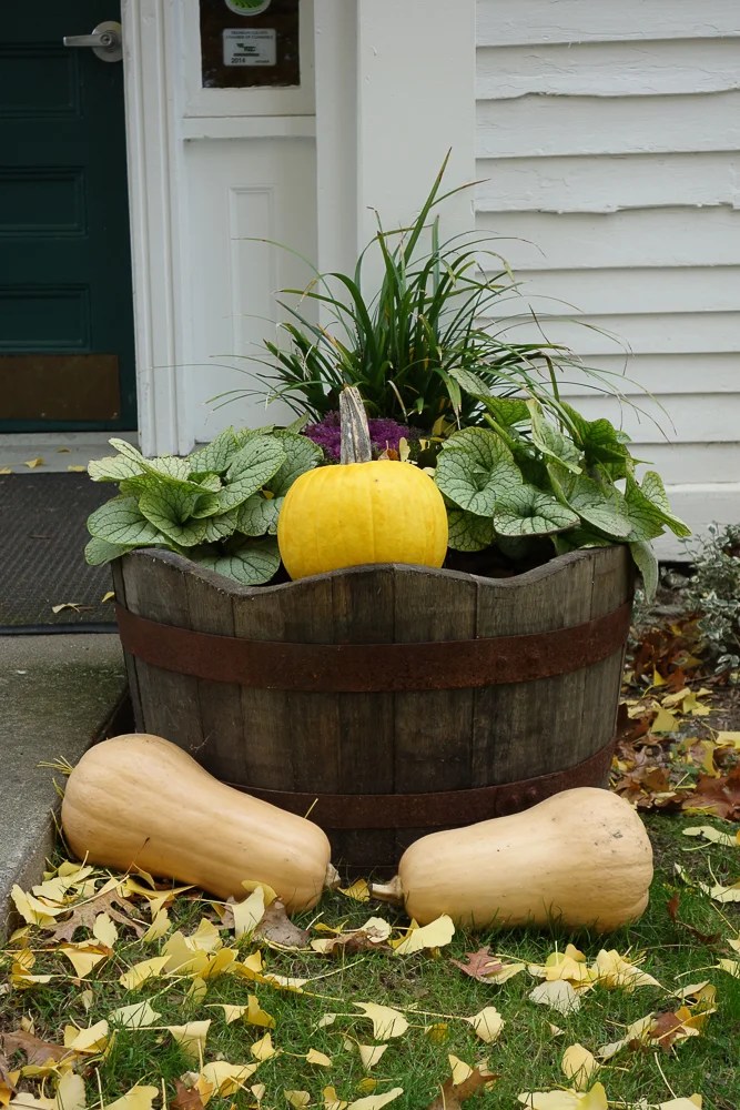 GWS blog _ What I dig-1.jpg