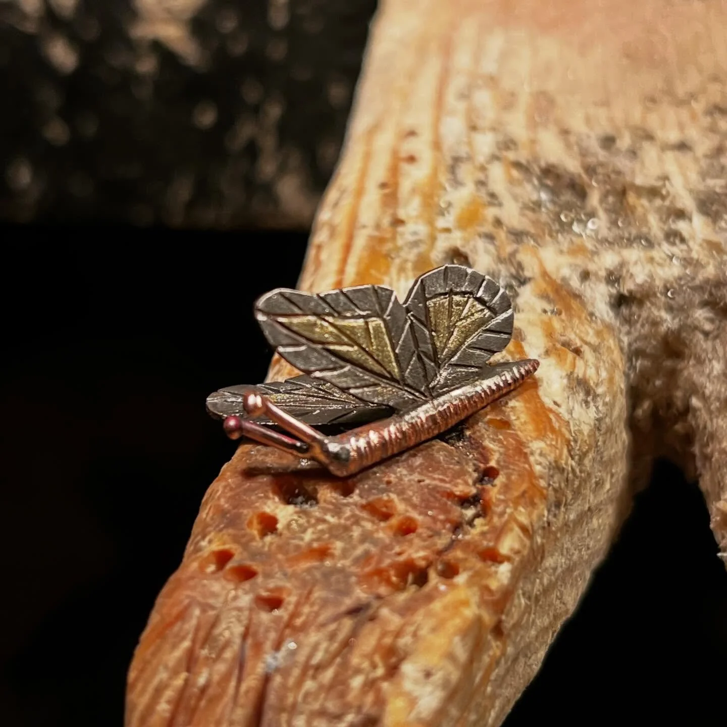 Fabricated butterfly..

Some great pieces are in the works. See them first at Winter Park in just a couple of months!