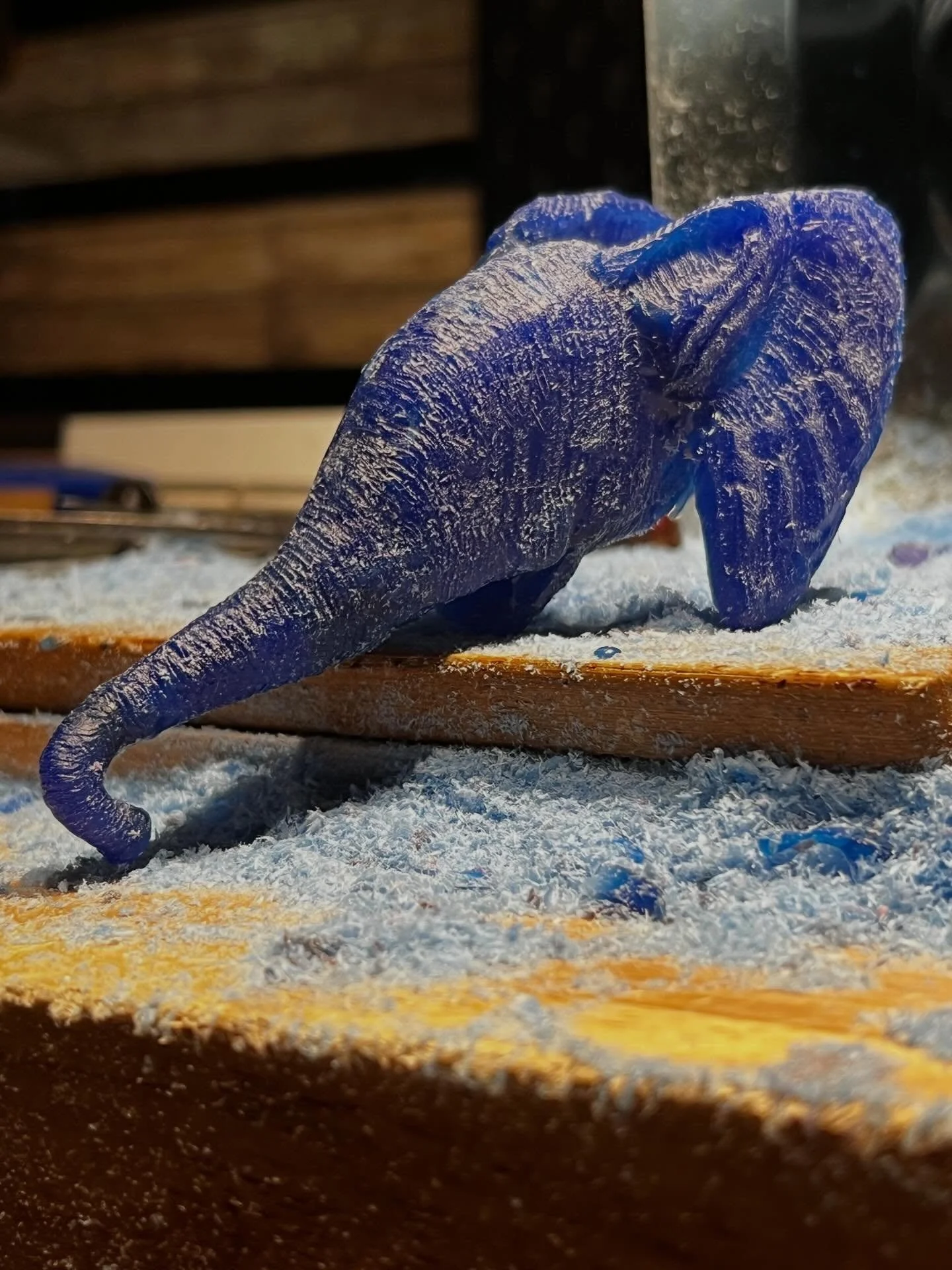 Giraffe&rsquo;s friend..