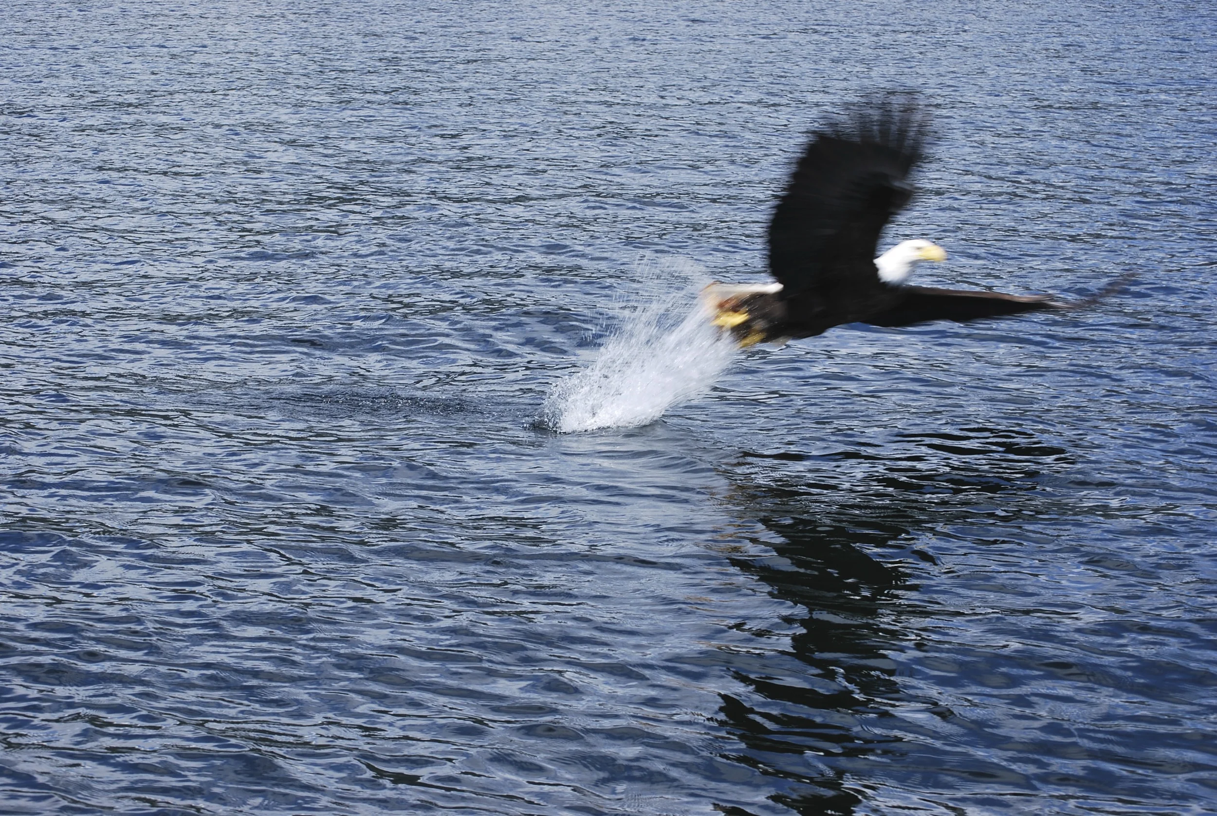 DSC_0162.jpg