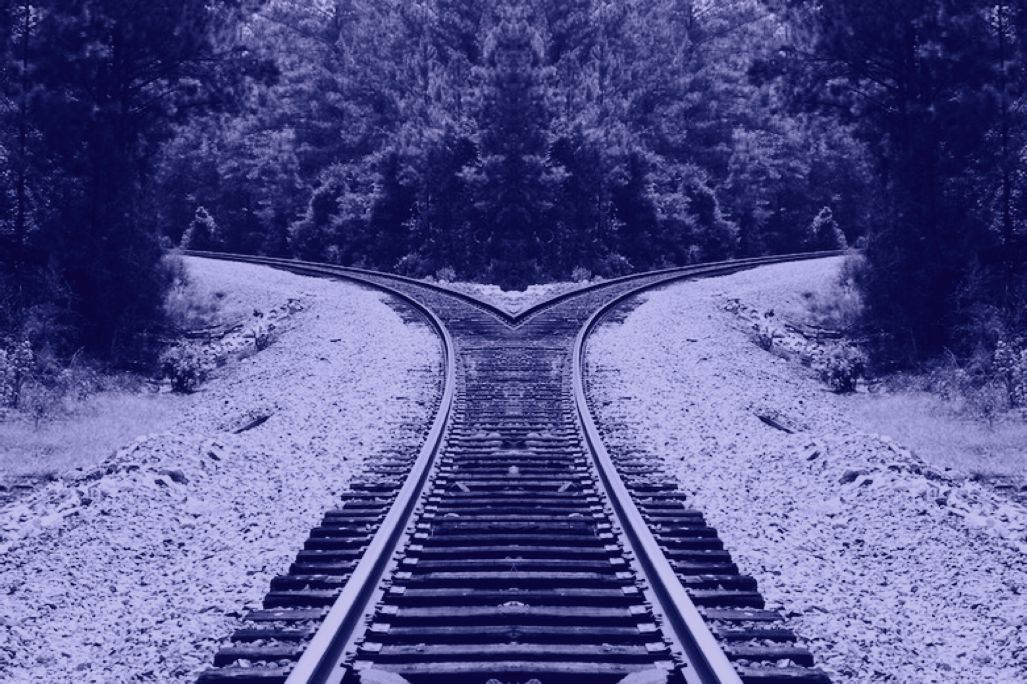 IMG_6161.png