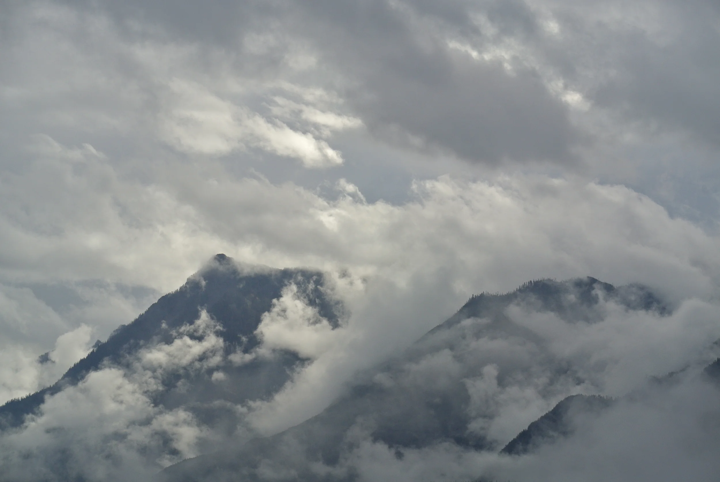 DSC_6649.JPG