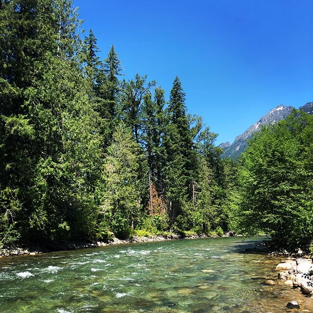 Weekend Camping trip with grad school friends 💚🌲☀️👍🏼🙏🏼 #weekend #camping #nature #forest #river #lake #hiking #fun #outside #life #refreshing #forest #water #mountain #selfie #washington #summer