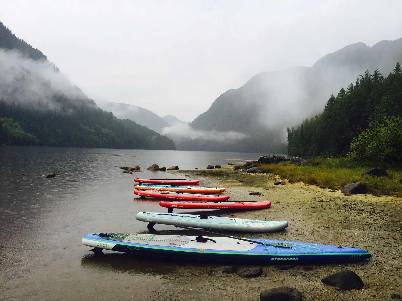 Great Bear Rainforest SUP Expedition Tour