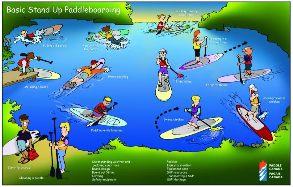 Paul Mason illustration of Basic SUP Skills