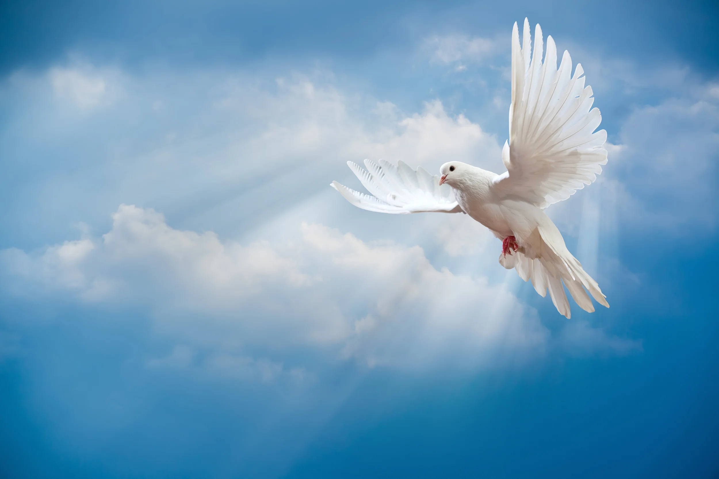 THE HOLY SPIRIT IN THE OLD TESTAMENT