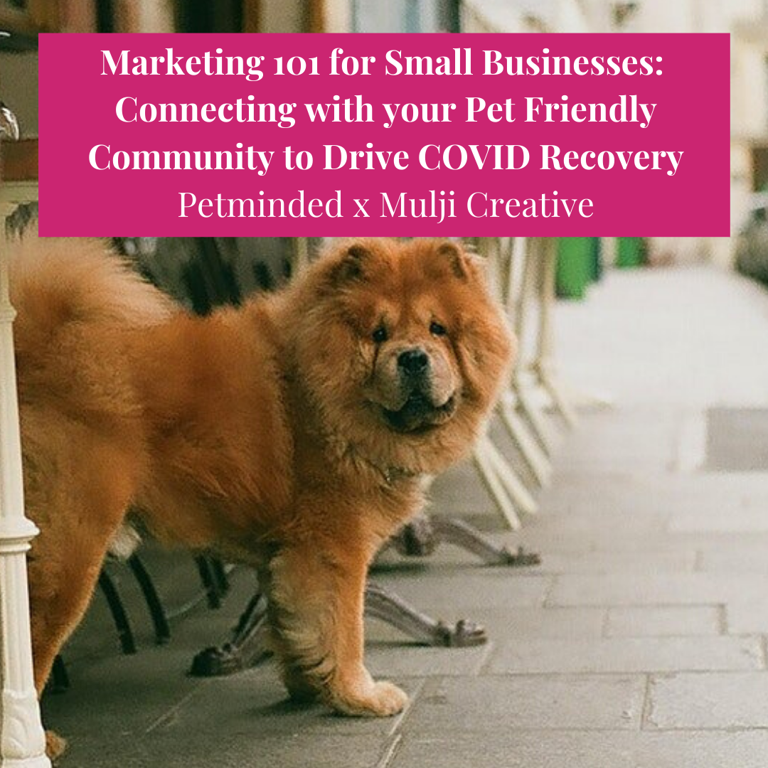 Small Businesses Marketing 101
