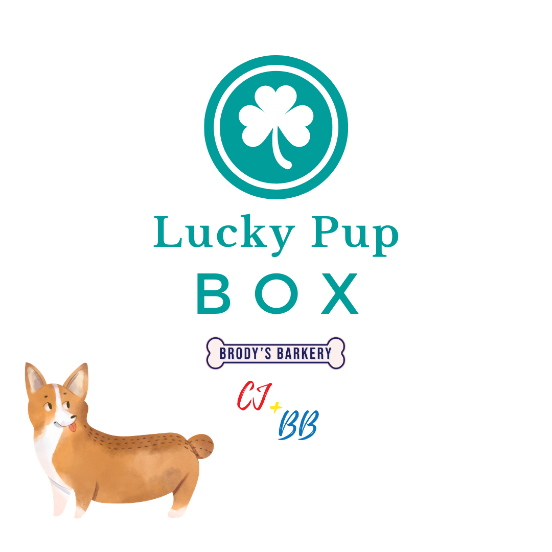 LUCKY PUP BOX COLLAB - RECAP