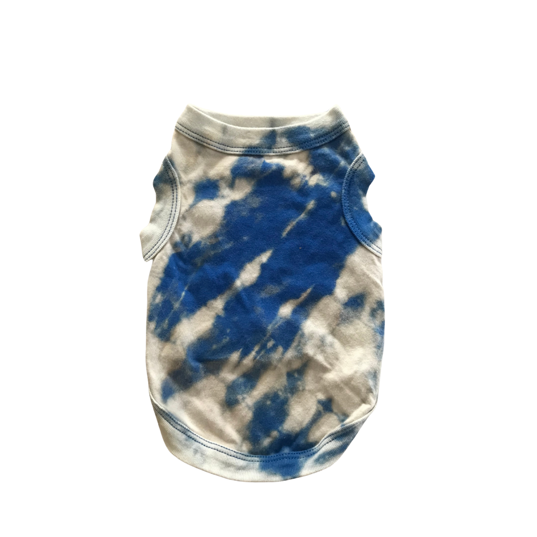 Blue Diagonal front.png