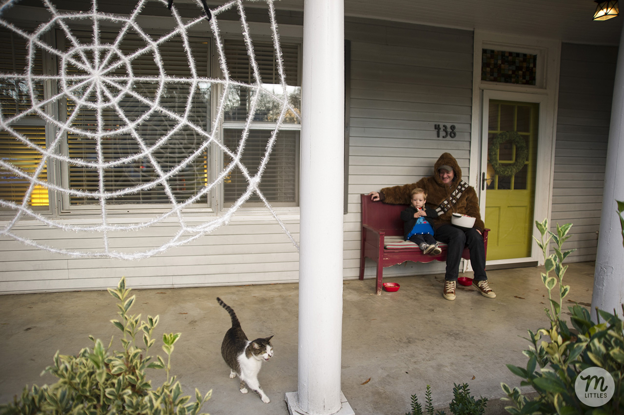 We decorated our porch with a giant spider web I bought on clearance last year at Target. I bought three more this year on clearance, so I'm excited to cover our porch with them next year!
