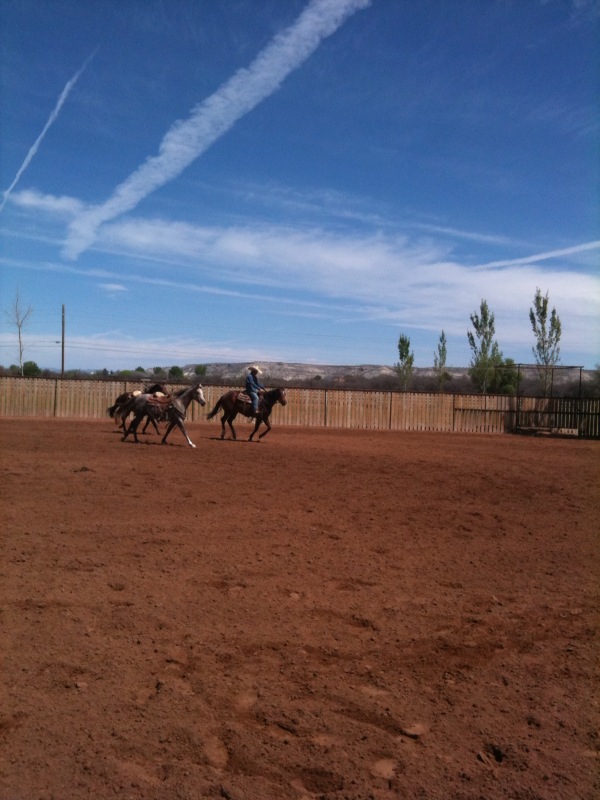 At our facility in Camp Verde