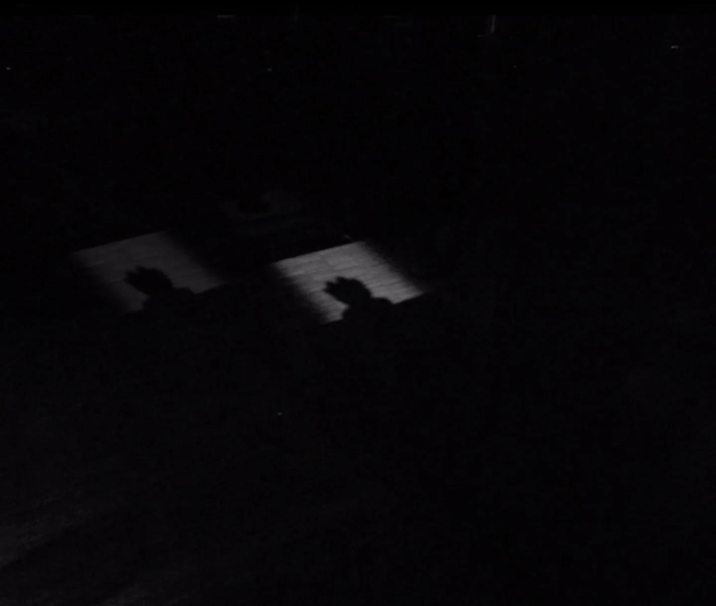 Image credit: Slide from "Act II: Fugitivity", slide carrousel installation by Cosmo Whyte and Abigail E. Celis