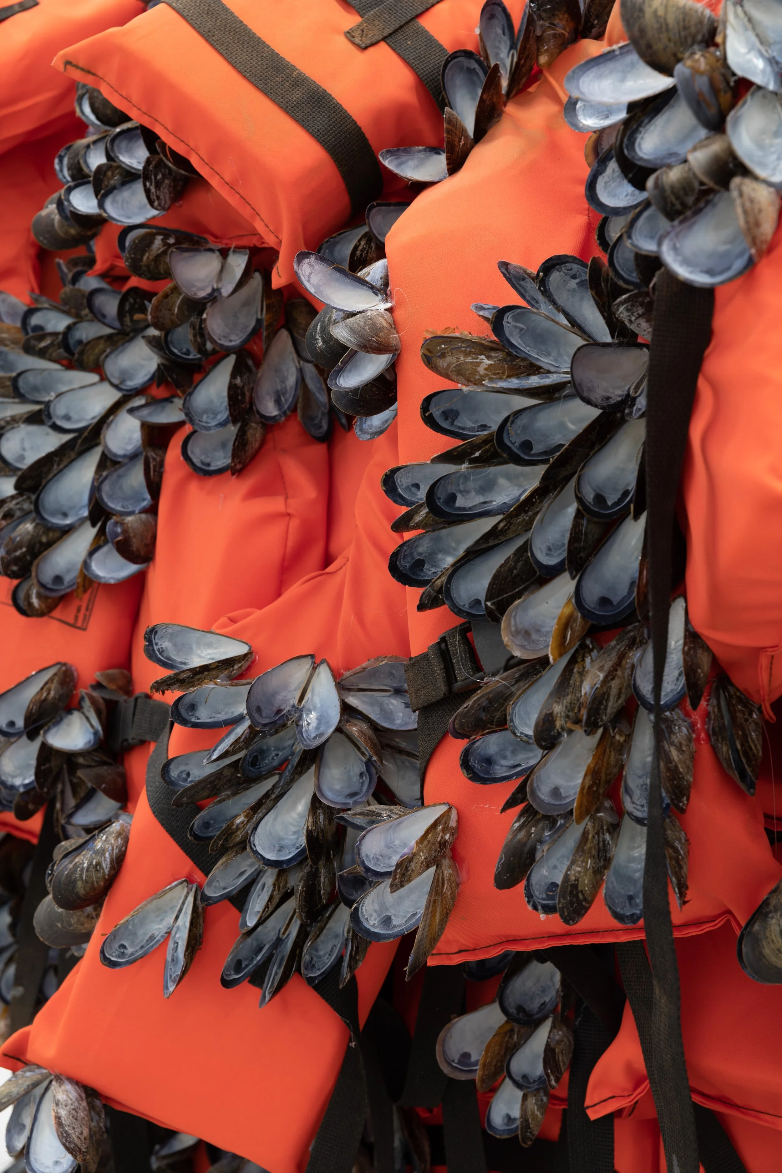 The Enigma of Arrival in Four Sections: Section I: “Guess Who Is Coming to Dinner”, 2017
(Detail)