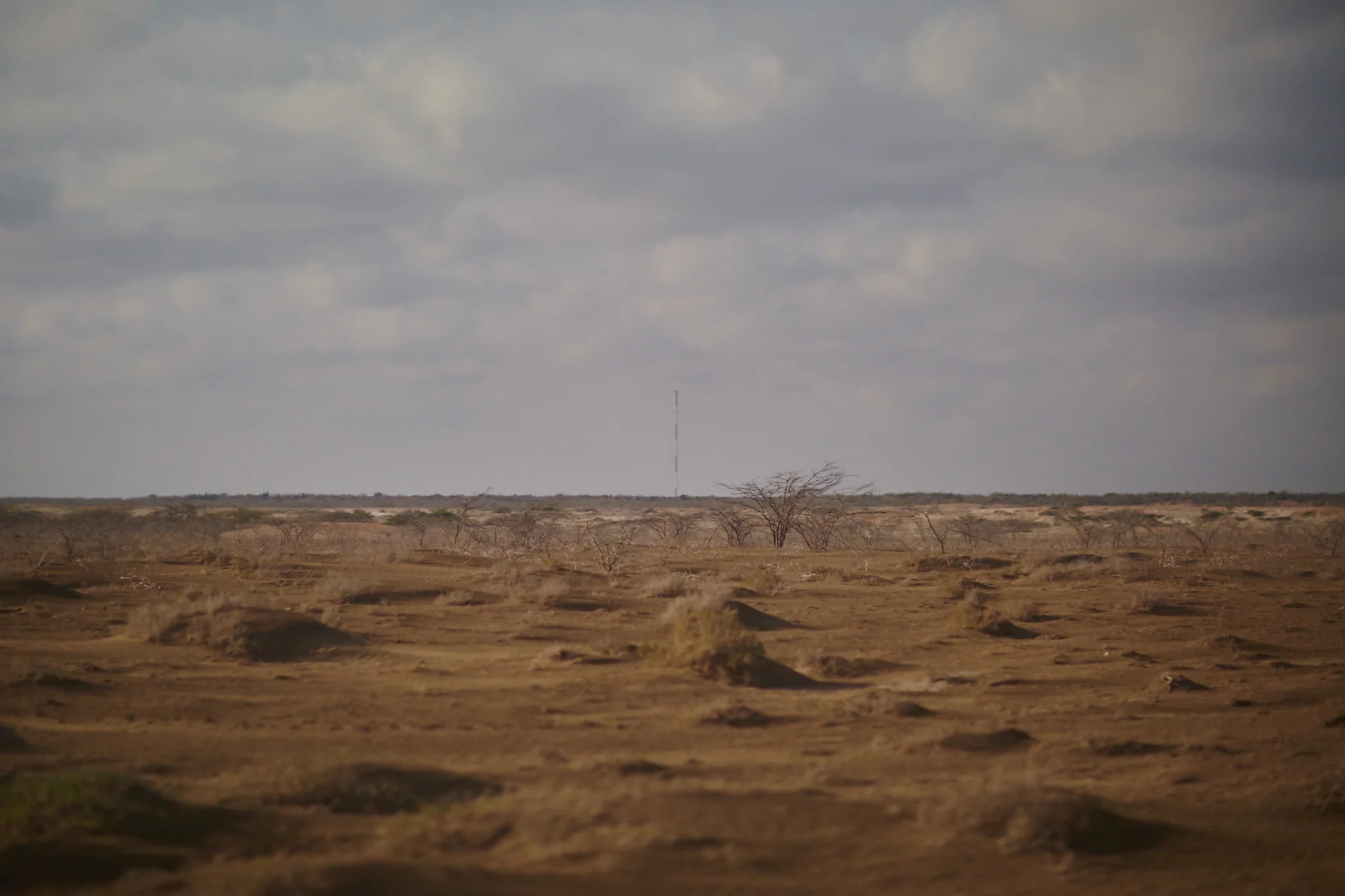 _F8A8260.jpg