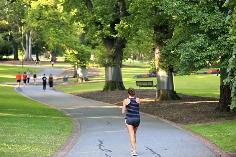 Walking_People.jpg