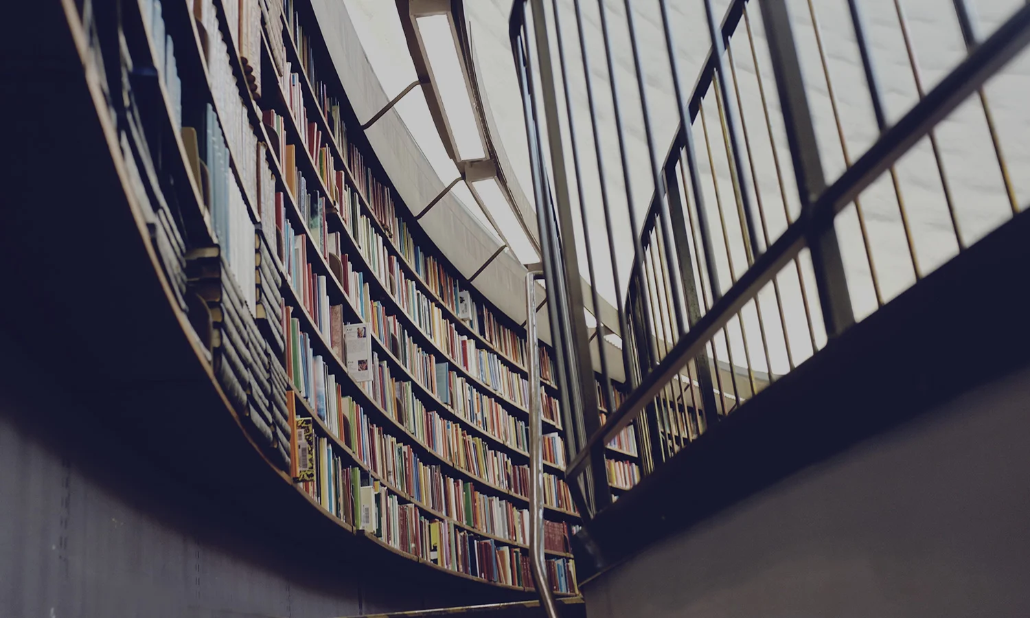 Build a Business Culture of Learning