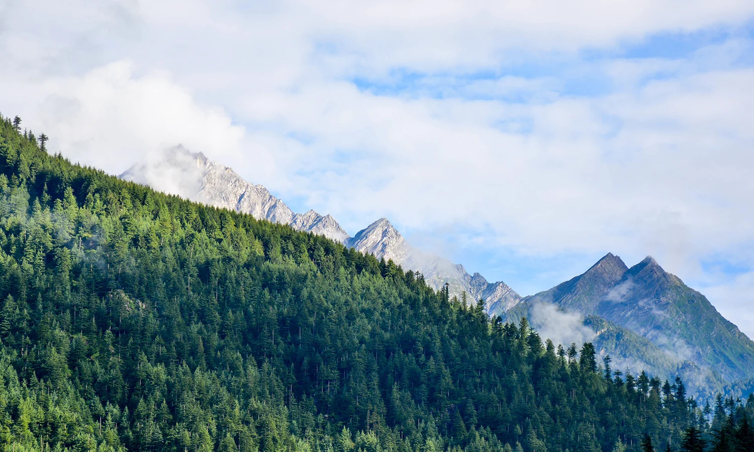 Five Principles to Overcome Challenges 