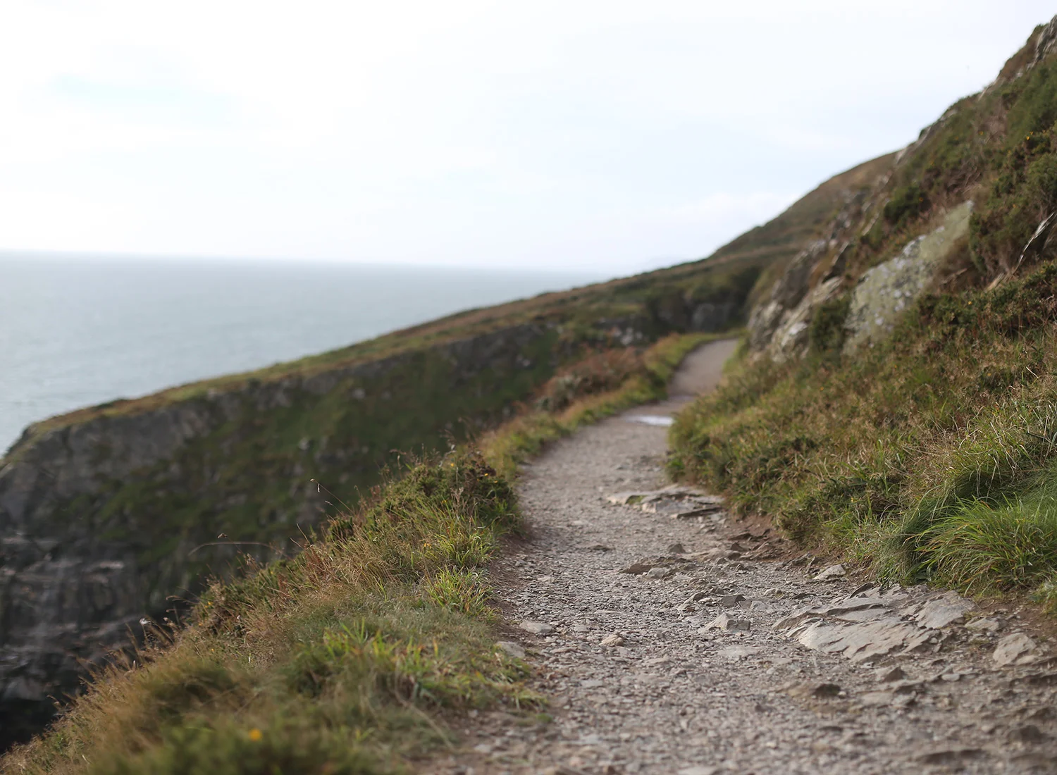 cliff-walk-howth-ireland-trail.jpg
