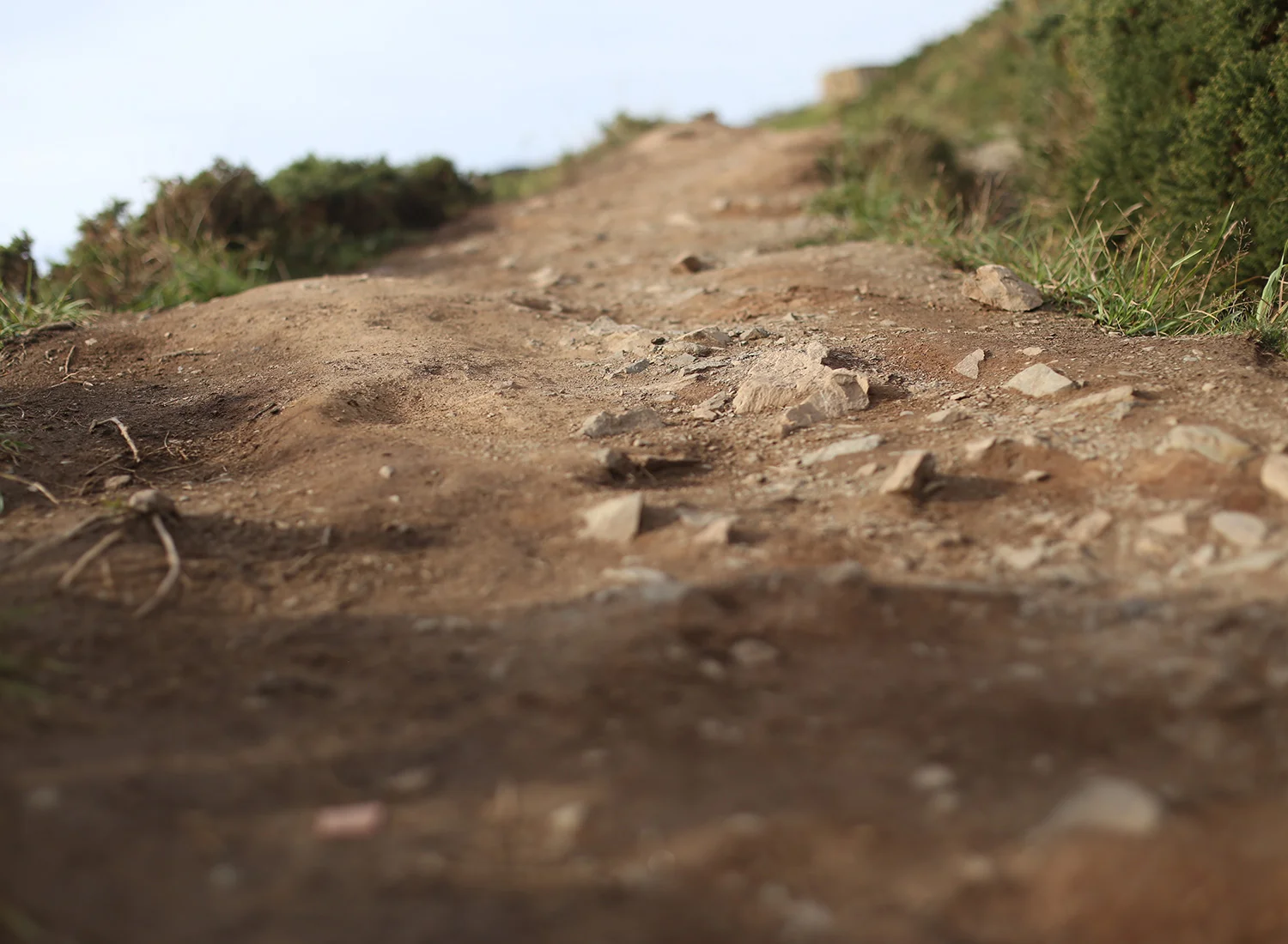 ireland-howth-trail-running.jpg