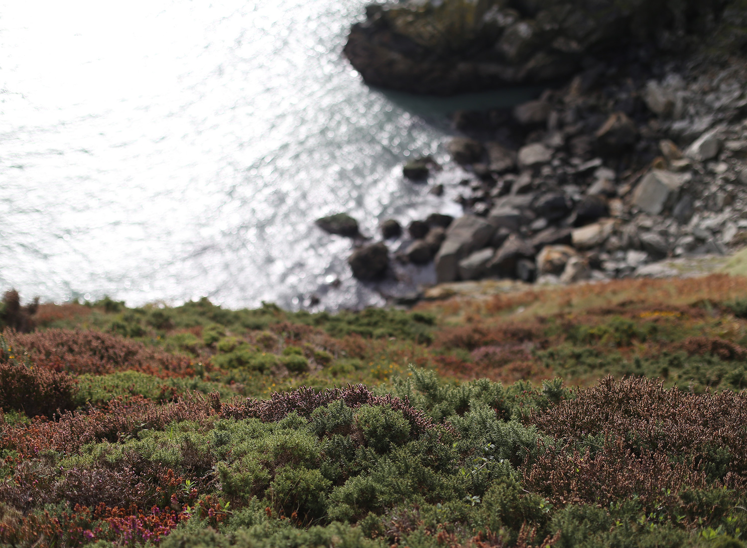 ireland-howth-ocean-view.jpg