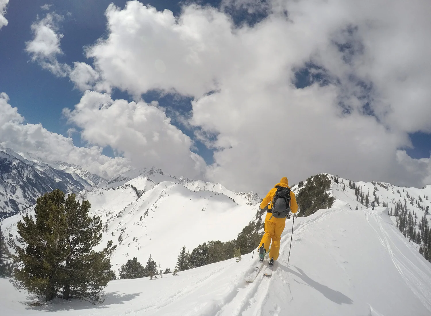 backcountry-skiing-utah-summit-burke-alder.jpg