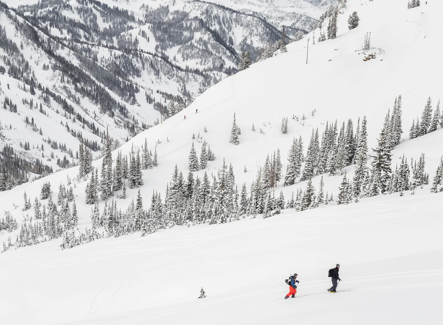 backcountry-skiing-utah-toledo-bowl-approach-pictures.jpg