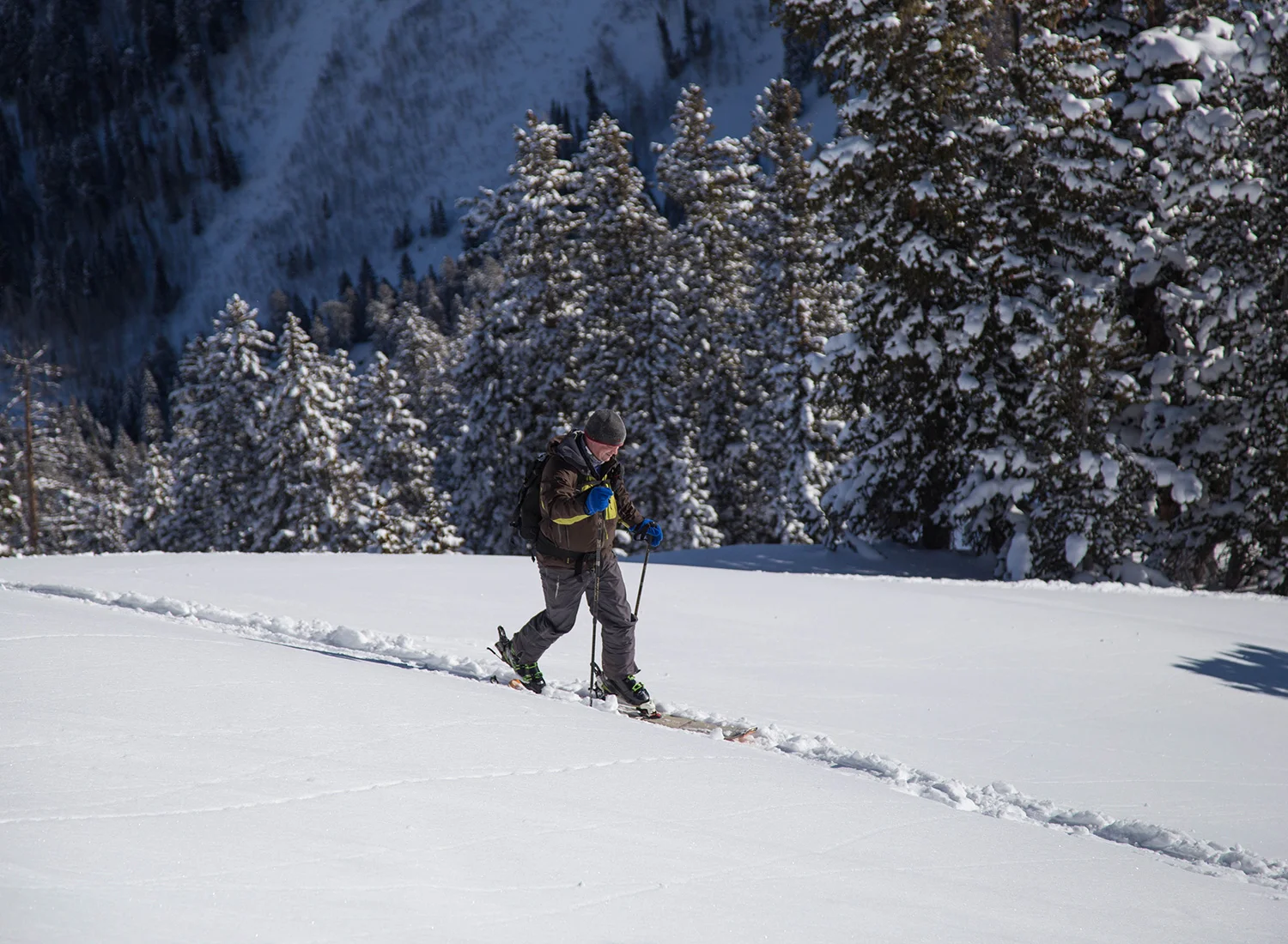 backcountry-skiing-touring-pictures-days-fork-days-draw.jpg