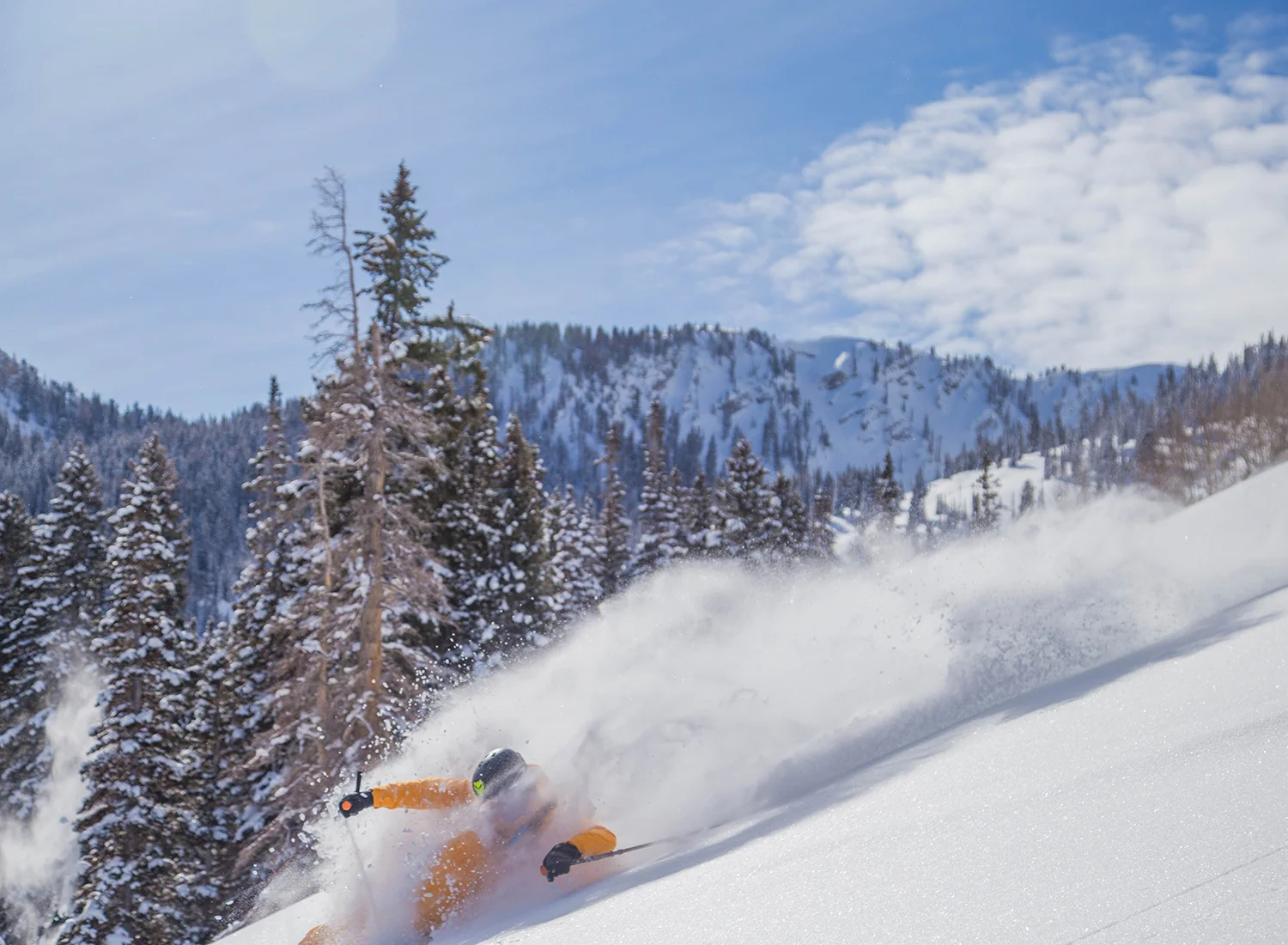 burke-alder-backcountry-powder-skiing-picturs-days-fork-utah.jpg