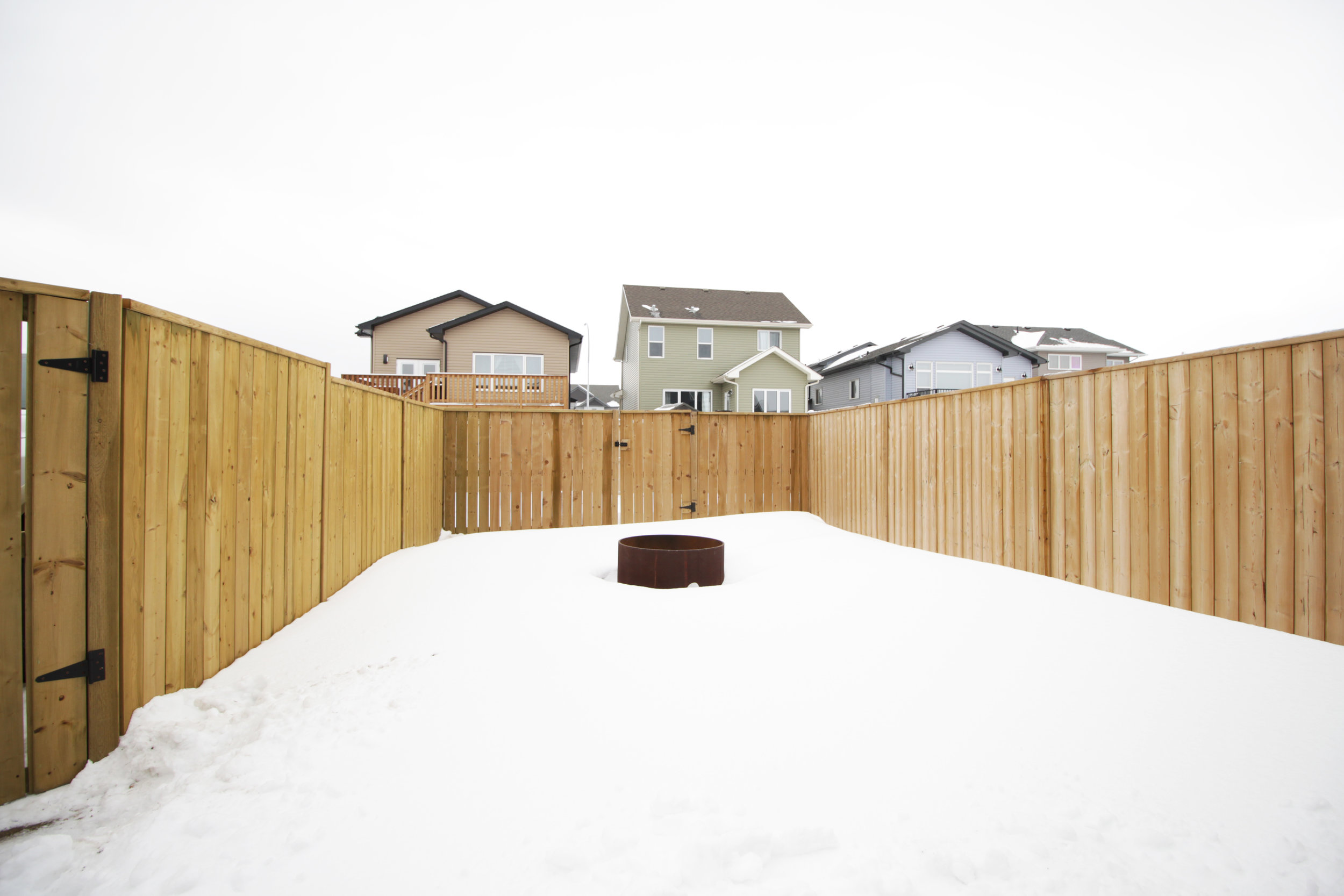 Backyard.jpg